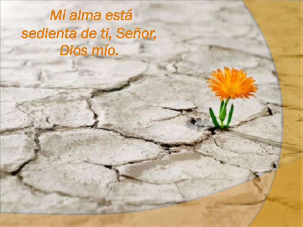 Mi alma está sedienta de ti, Señor, Dios mío.