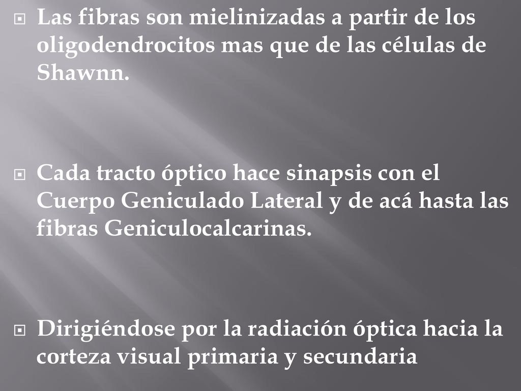 Las fibras son mielinizadas a partir de los oligodendrocitos mas que de las células de Shawnn.