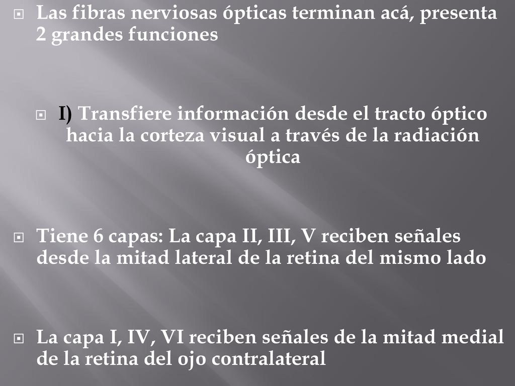 Las fibras nerviosas ópticas terminan acá, presenta 2 grandes funciones