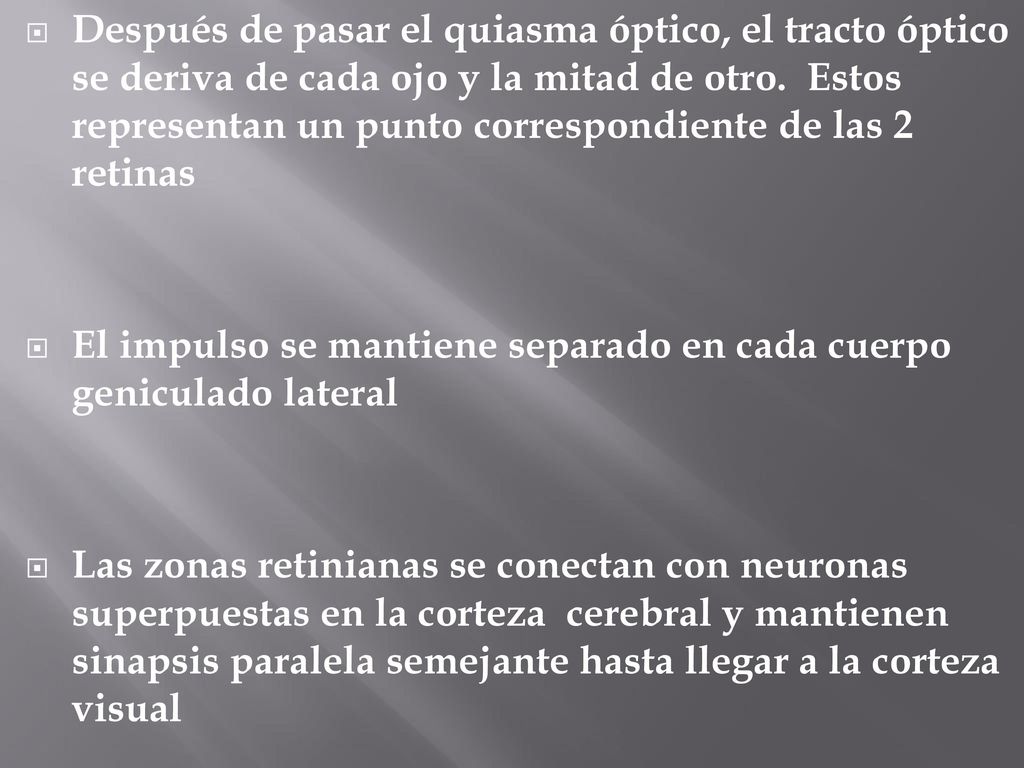 Después de pasar el quiasma óptico, el tracto óptico se deriva de cada ojo y la mitad de otro. Estos representan un punto correspondiente de las 2 retinas