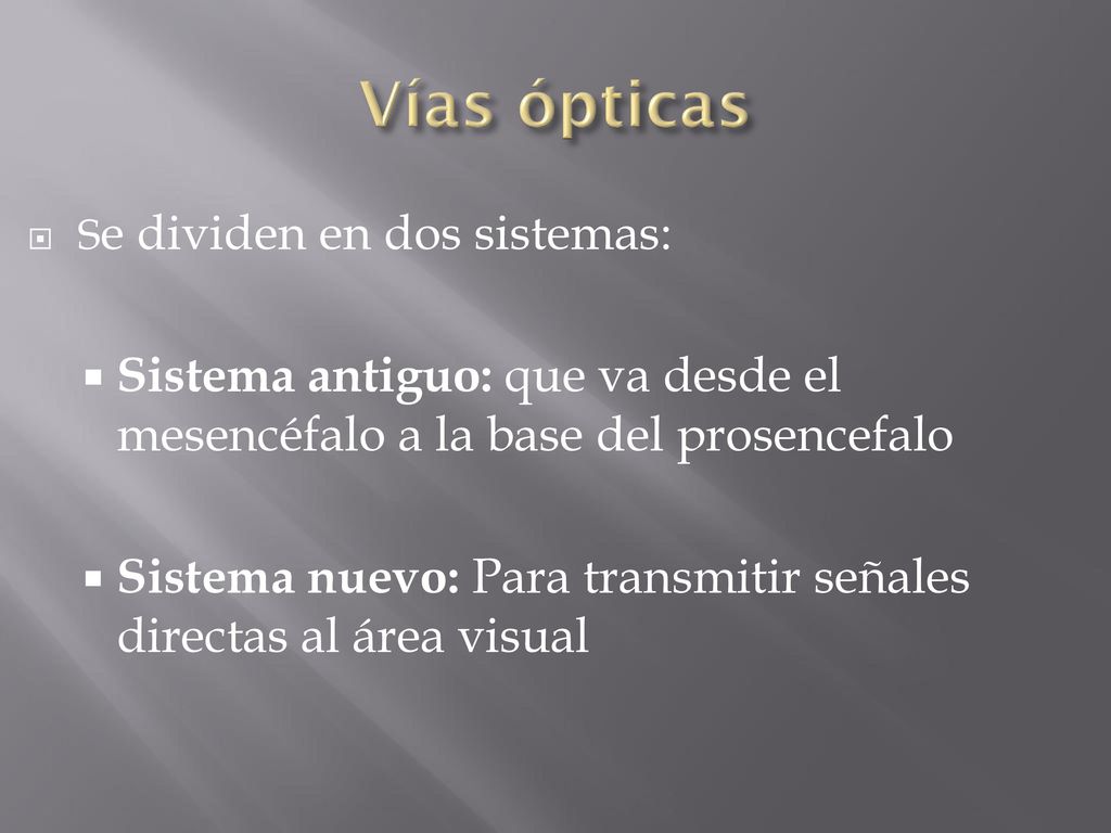 Vías ópticas Se dividen en dos sistemas: Sistema antiguo: que va desde el mesencéfalo a la base del prosencefalo.