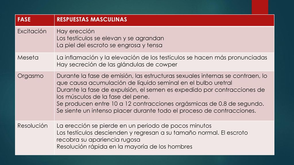 FASE RESPUESTAS MASCULINAS. Excitación. Hay erección. Los testículos se elevan y se agrandan. La piel del escroto se engrosa y tensa.
