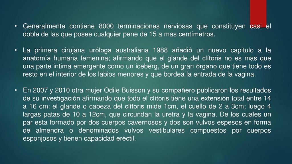 Generalmente contiene 8000 terminaciones nerviosas que constituyen casi el doble de las que posee cualquier pene de 15 a mas centímetros.