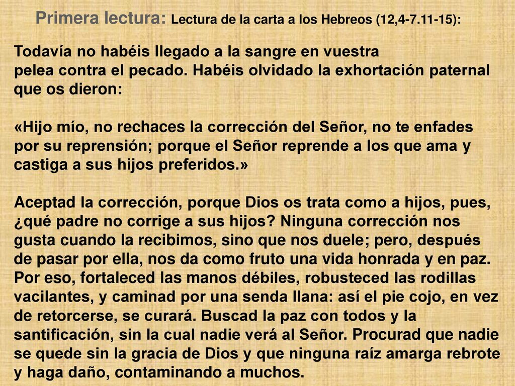 Primera lectura: Lectura de la carta a los Hebreos (12, ):