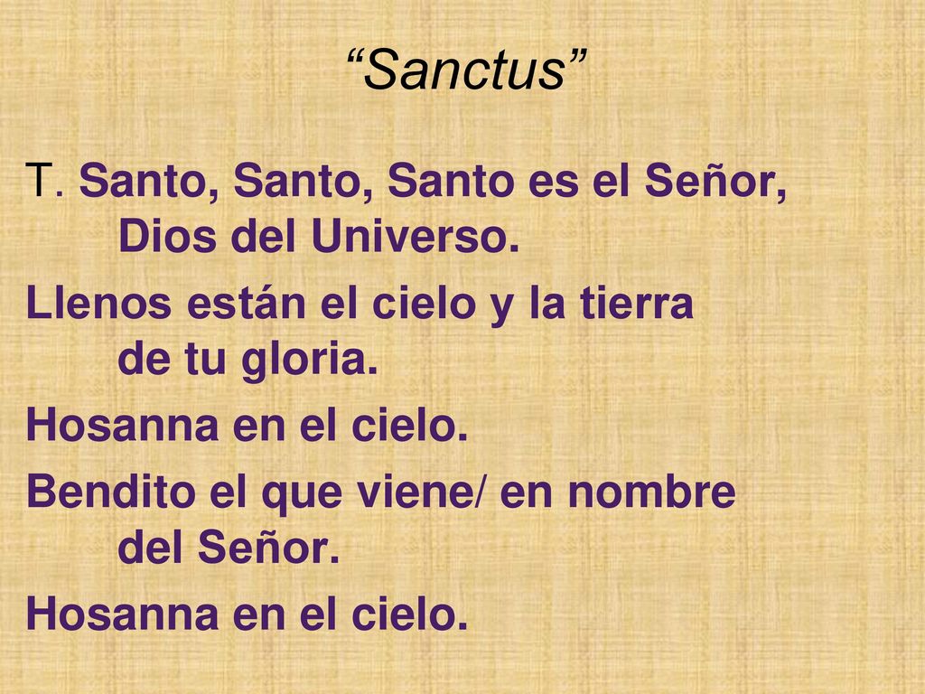 Sanctus T. Santo, Santo, Santo es el Señor, Dios del Universo.