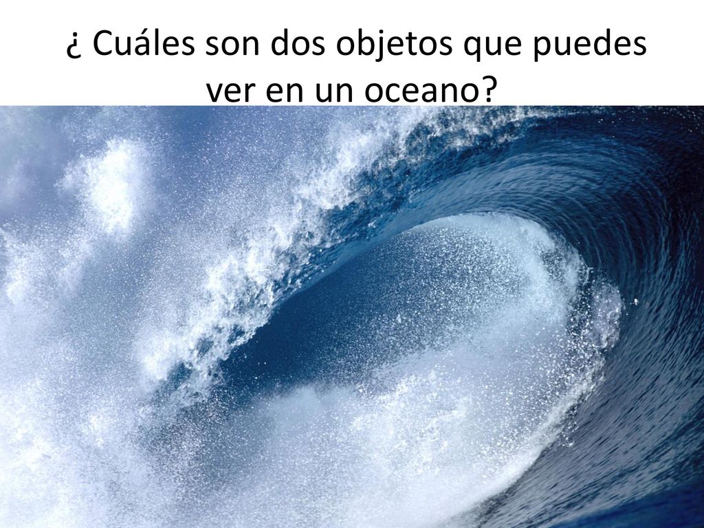 ¿ Cuáles son dos objetos que puedes ver en un oceano