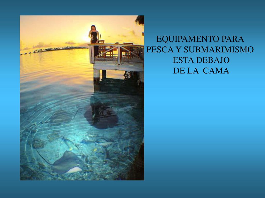EQUIPAMENTO PARA PESCA Y SUBMARIMISMO ESTA DEBAJO DE LA CAMA