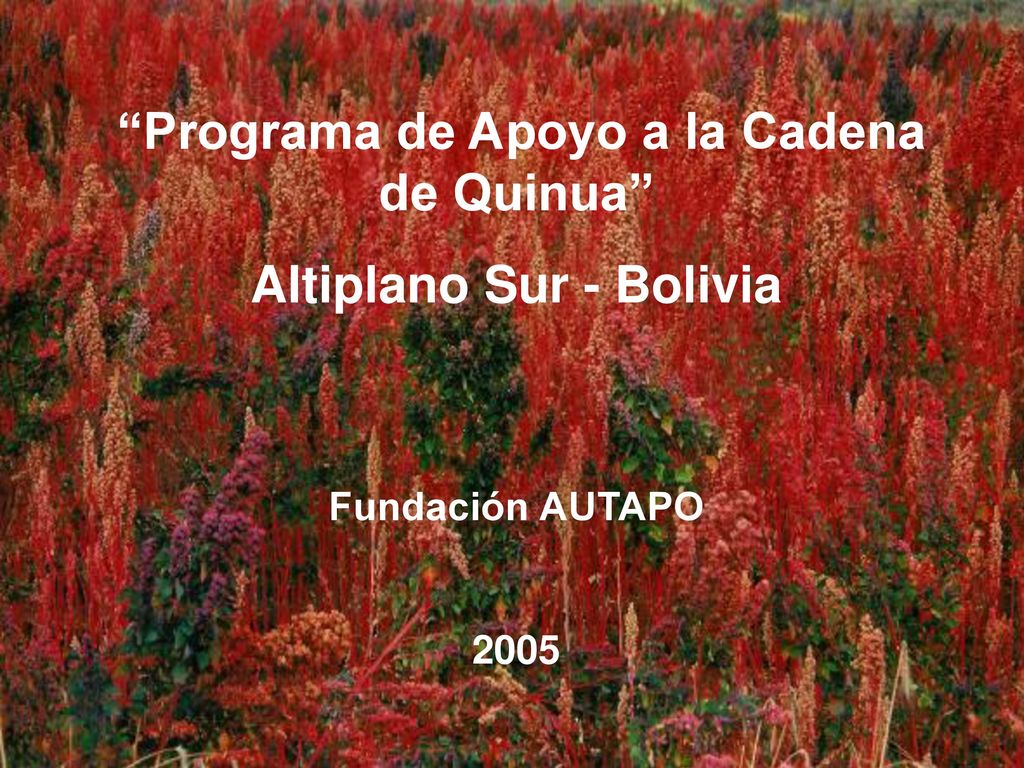 Programa de Apoyo a la Cadena de Quinua Altiplano Sur - Bolivia