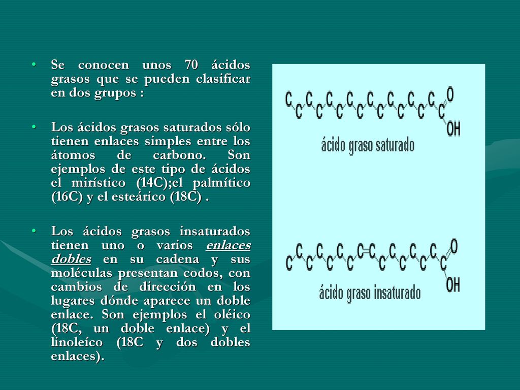 Se conocen unos 70 ácidos grasos que se pueden clasificar en dos grupos :