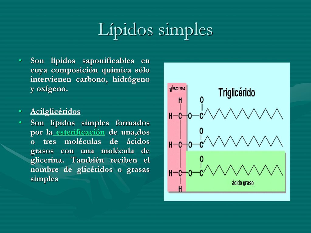 Lípidos simples Son lípidos saponificables en cuya composición química sólo intervienen carbono, hidrógeno y oxígeno.