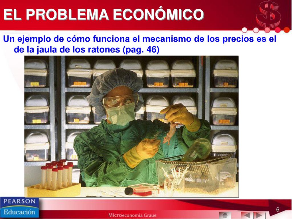 EL PROBLEMA ECONÓMICO Un ejemplo de cómo funciona el mecanismo de los precios es el de la jaula de los ratones (pag.