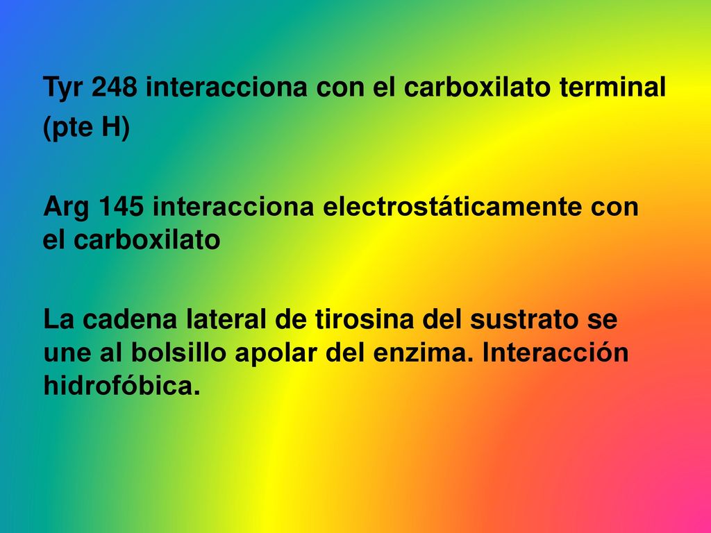 Tyr 248 interacciona con el carboxilato terminal (pte H) Arg 145 interacciona electrostáticamente con el carboxilato La cadena lateral de tirosina del sustrato se une al bolsillo apolar del enzima.
