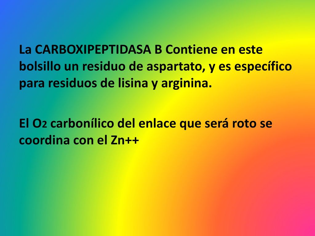 La CARBOXIPEPTIDASA B Contiene en este bolsillo un residuo de aspartato, y es específico para residuos de lisina y arginina.