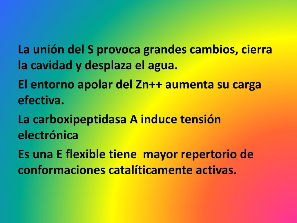 La unión del S provoca grandes cambios, cierra la cavidad y desplaza el agua.