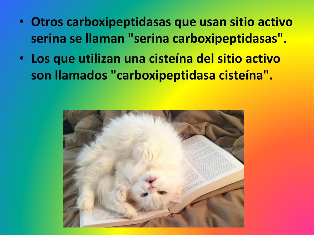 Otros carboxipeptidasas que usan sitio activo serina se llaman serina carboxipeptidasas .