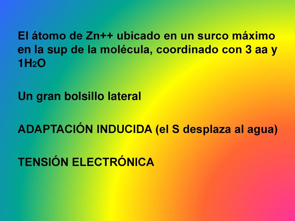 El átomo de Zn++ ubicado en un surco máximo en la sup de la molécula, coordinado con 3 aa y 1H2O Un gran bolsillo lateral ADAPTACIÓN INDUCIDA (el S desplaza al agua) TENSIÓN ELECTRÓNICA