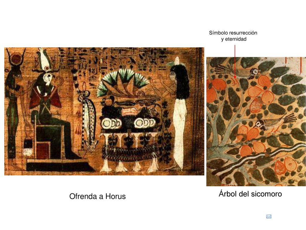 Símbolo resurrección y eternidad Árbol del sicomoro Ofrenda a Horus