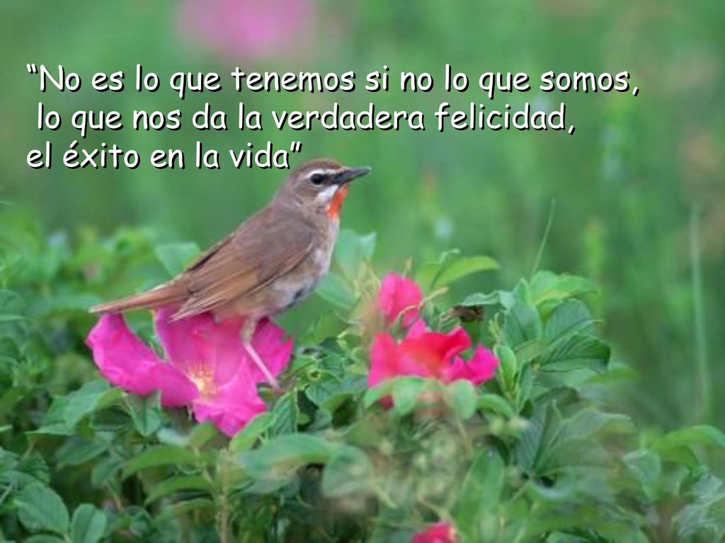 No es lo que tenemos si no lo que somos,