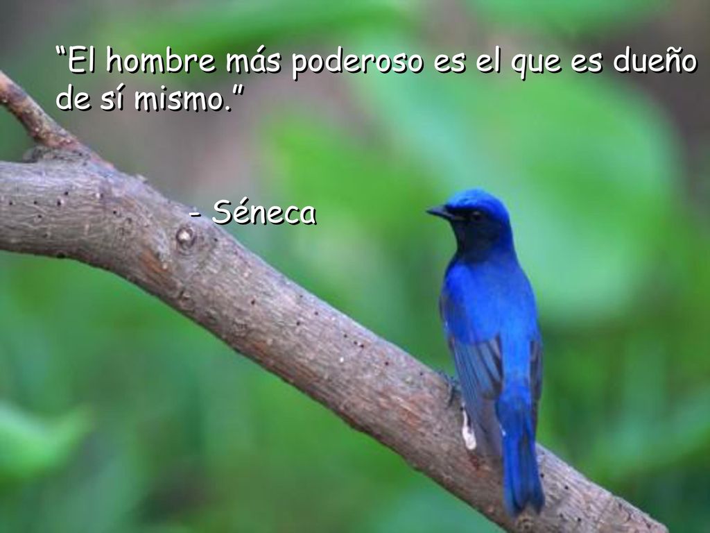 El hombre más poderoso es el que es dueño de sí mismo.