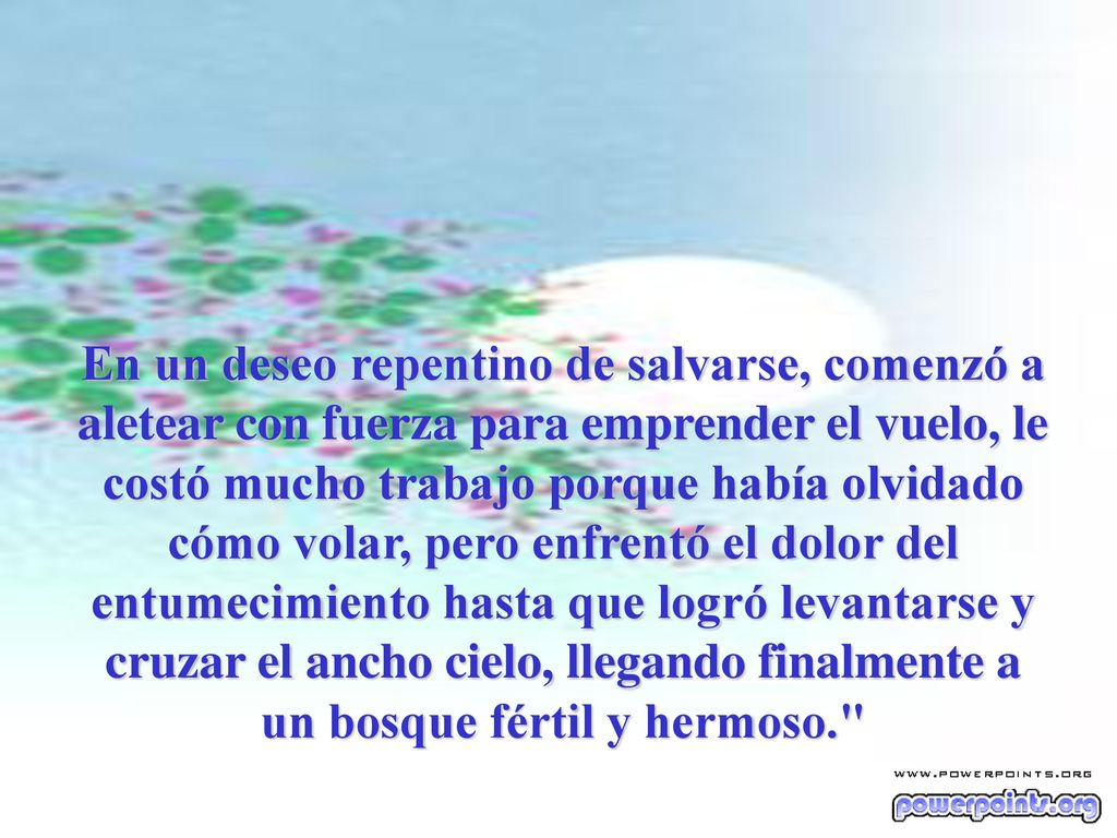 En un deseo repentino de salvarse, comenzó a aletear con fuerza para emprender el vuelo, le costó mucho trabajo porque había olvidado cómo volar, pero enfrentó el dolor del entumecimiento hasta que logró levantarse y cruzar el ancho cielo, llegando finalmente a un bosque fértil y hermoso.