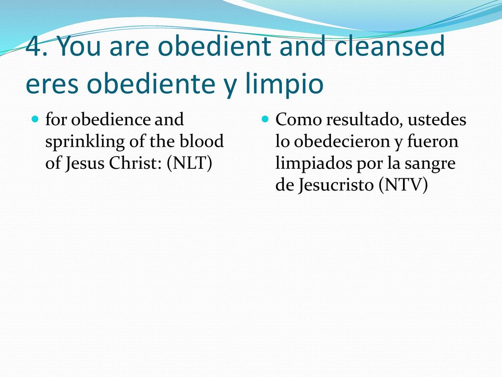 4. You are obedient and cleansed eres obediente y limpio