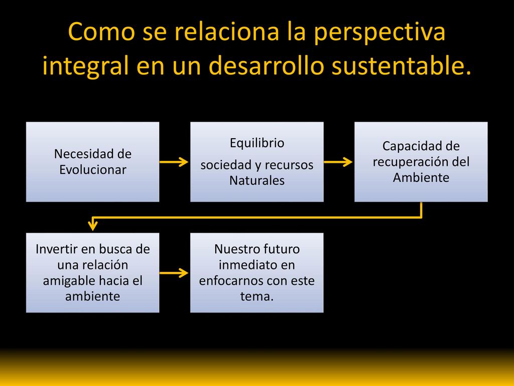 Como se relaciona la perspectiva integral en un desarrollo sustentable.