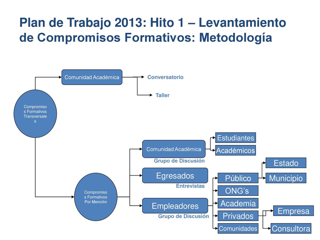Plan de Trabajo 2013: Hito 1 – Levantamiento de Compromisos Formativos: Metodología