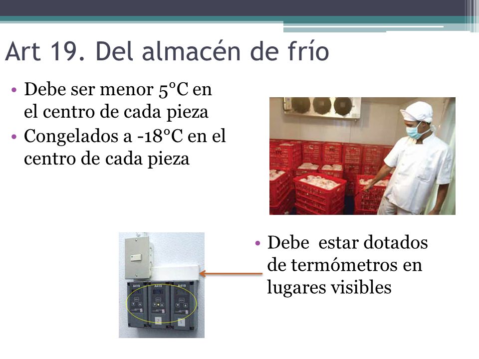 Art 19. Del almacén de frío Debe ser menor 5°C en el centro de cada pieza. Congelados a -18°C en el centro de cada pieza.