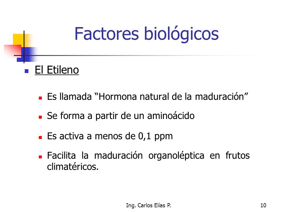 Factores biológicos El Etileno