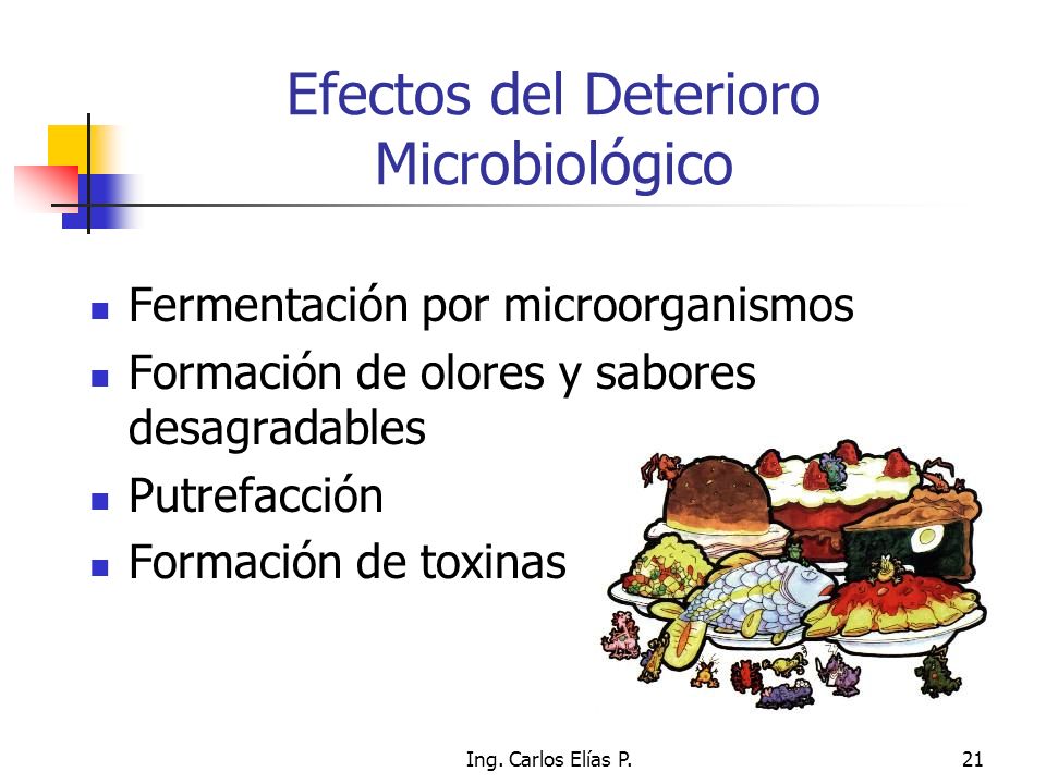 Efectos del Deterioro Microbiológico
