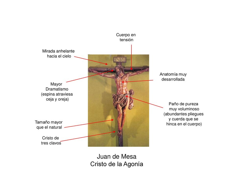 Juan de Mesa Cristo de la Agonía Cuerpo en tensión Mirada anhelante