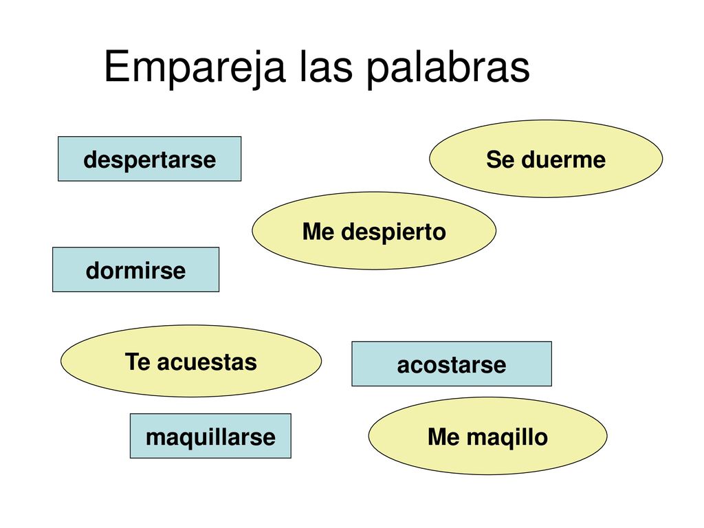 Empareja las palabras Se duerme despertarse Me despierto dormirse