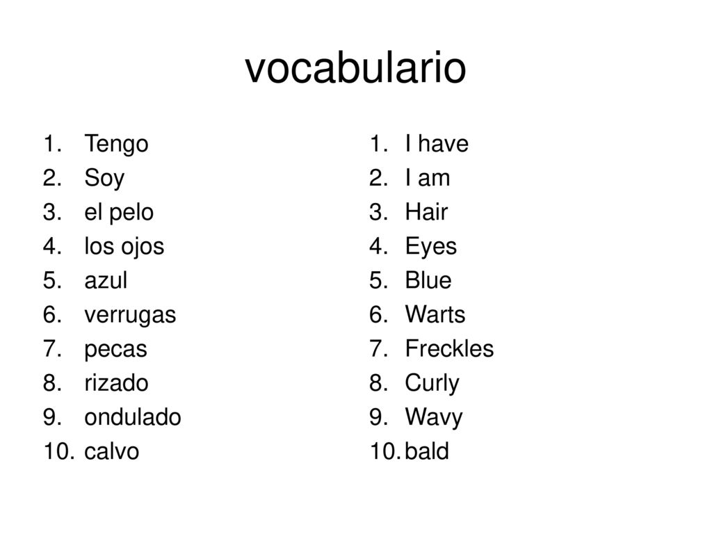 vocabulario Tengo Soy el pelo los ojos azul verrugas pecas rizado