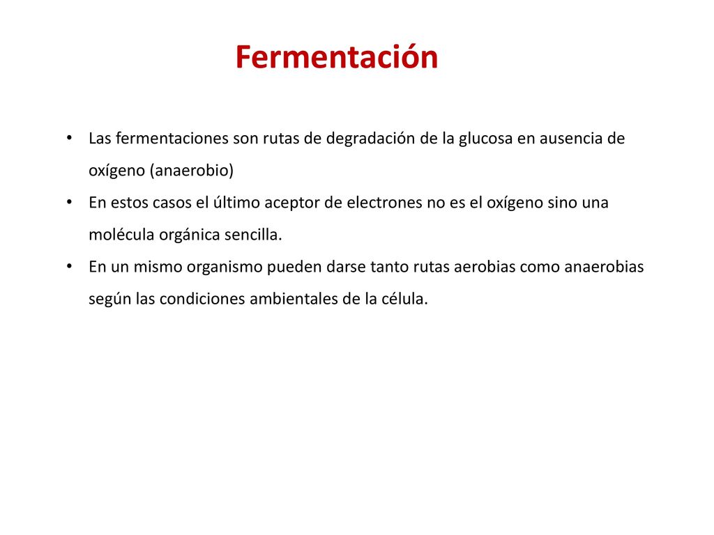 Fermentación Las fermentaciones son rutas de degradación de la glucosa en ausencia de oxígeno (anaerobio)