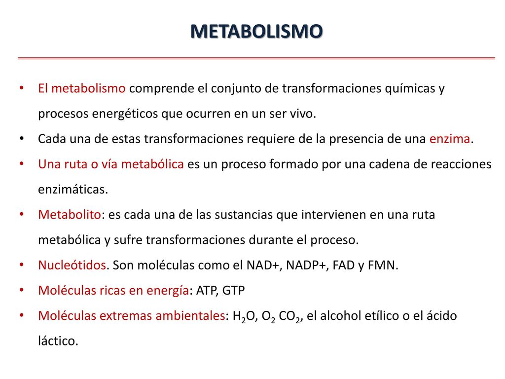 METABOLISMO El metabolismo comprende el conjunto de transformaciones químicas y procesos energéticos que ocurren en un ser vivo.