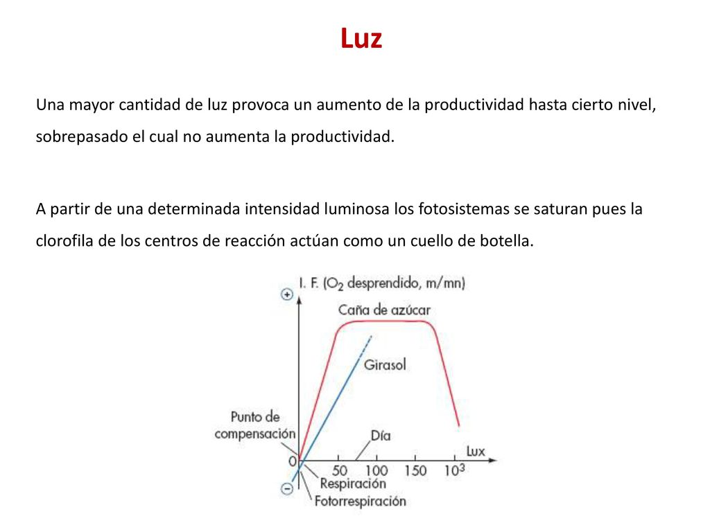 Luz Una mayor cantidad de luz provoca un aumento de la productividad hasta cierto nivel, sobrepasado el cual no aumenta la productividad.