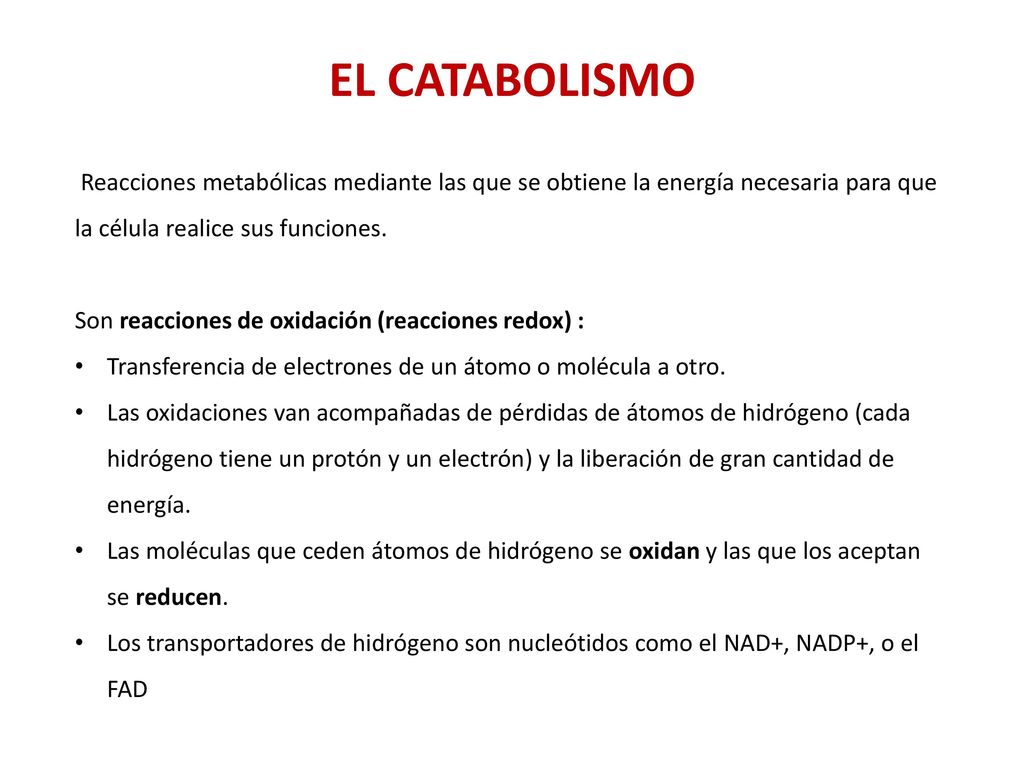 EL CATABOLISMO Reacciones metabólicas mediante las que se obtiene la energía necesaria para que la célula realice sus funciones.