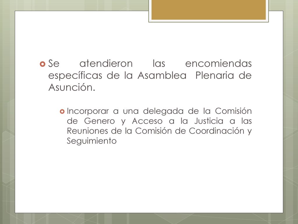 Se atendieron las encomiendas específicas de la Asamblea Plenaria de Asunción.