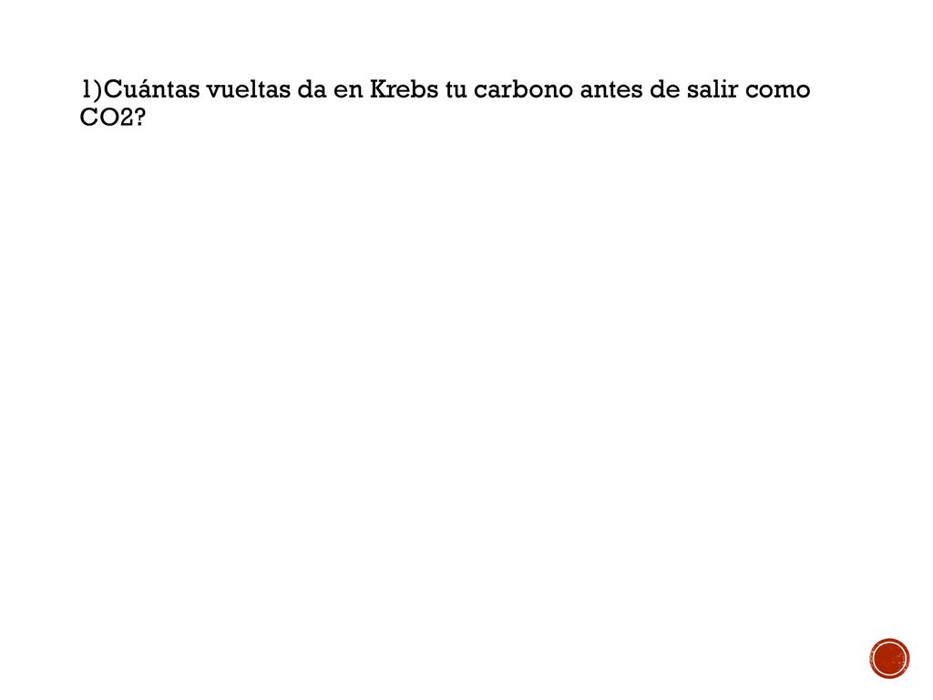 1)Cuántas vueltas da en Krebs tu carbono antes de salir como CO2