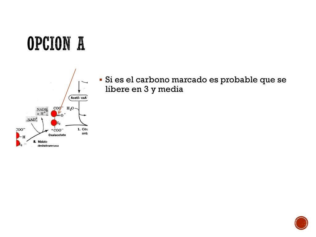 OPCION A Si es el carbono marcado es probable que se libere en 3 y media