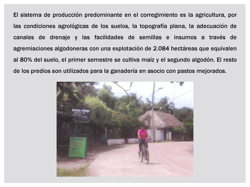 El sistema de producción predominante en el corregimiento es la agricultura, por las condiciones agrológicas de los suelos, la topografía plana, la adecuación de canales de drenaje y las facilidades de semillas e insumos a través de agremiaciones algodoneras con una explotación de hectáreas que equivalen al 80% del suelo, el primer semestre se cultiva maíz y el segundo algodón.