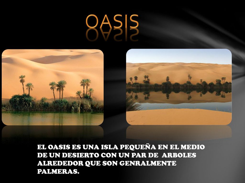 OASIS EL OASIS ES UNA ISLA PEQUEÑA EN EL MEDIO DE UN DESIERTO CON UN PAR DE ARBOLES ALREDEDOR QUE SON GENRALMENTE PALMERAS.