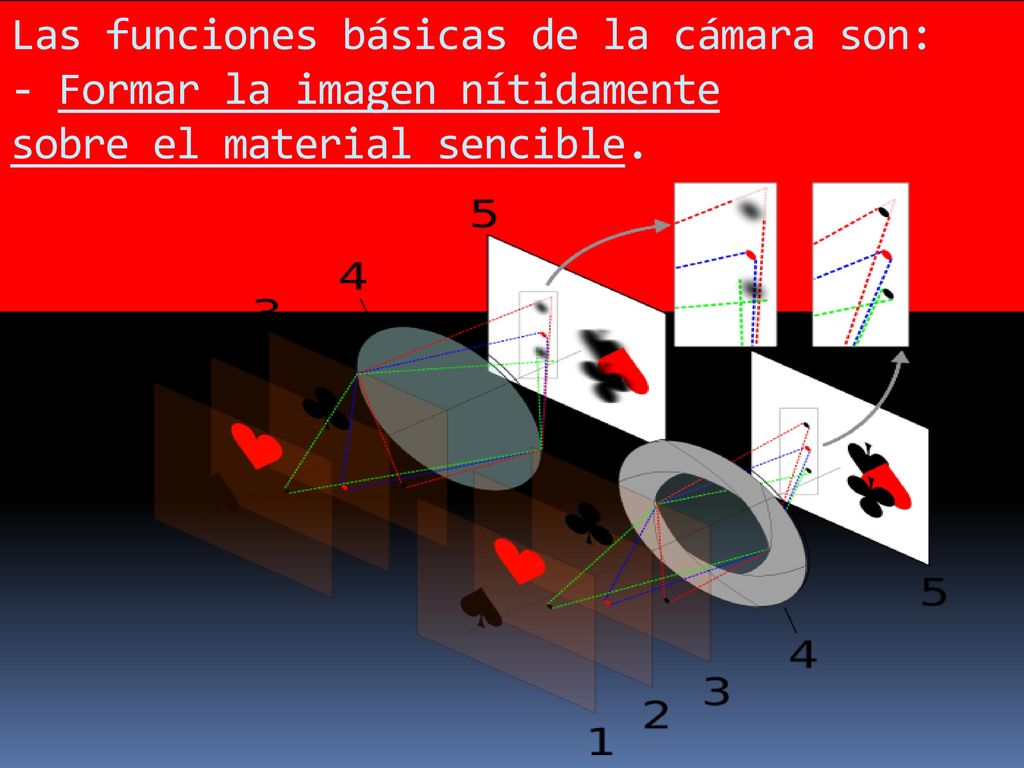 Las funciones básicas de la cámara son: - Formar la imagen nítidamente sobre el material sencible.