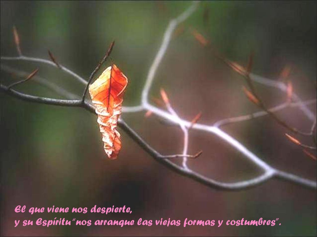 El que viene nos despierte, y su Espíritu nos arranque las viejas formas y costumbres .