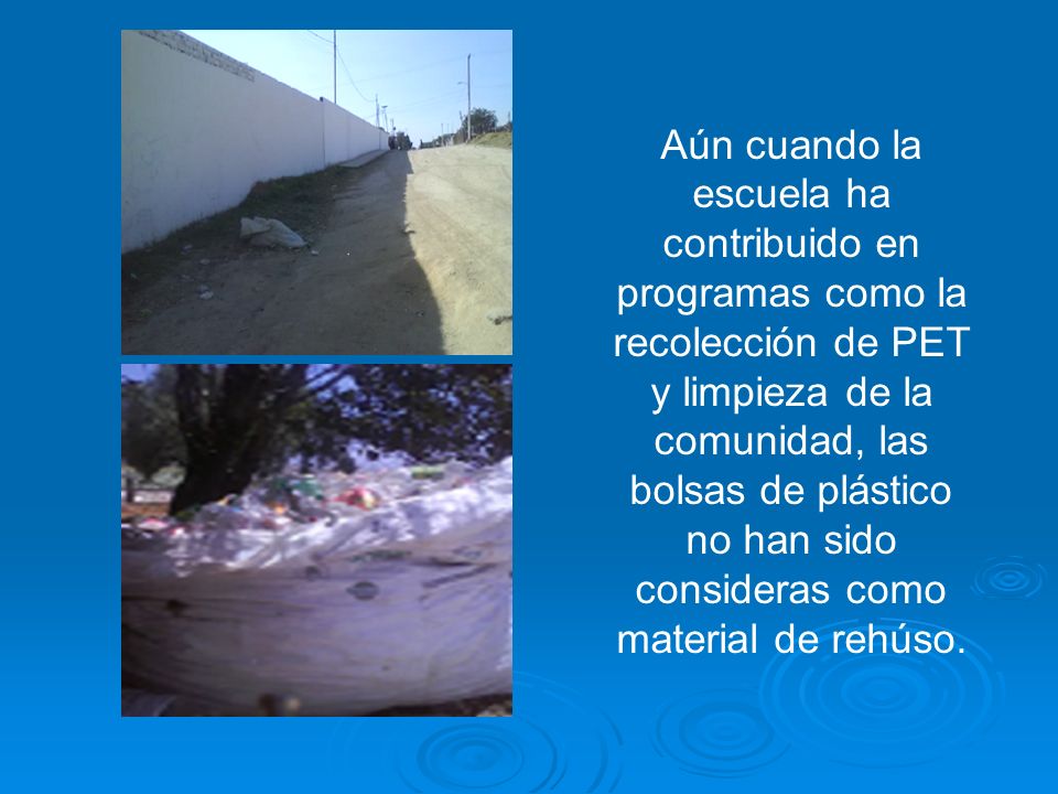 Aún cuando la escuela ha contribuido en programas como la recolección de PET y limpieza de la comunidad, las bolsas de plástico no han sido consideras como material de rehúso.