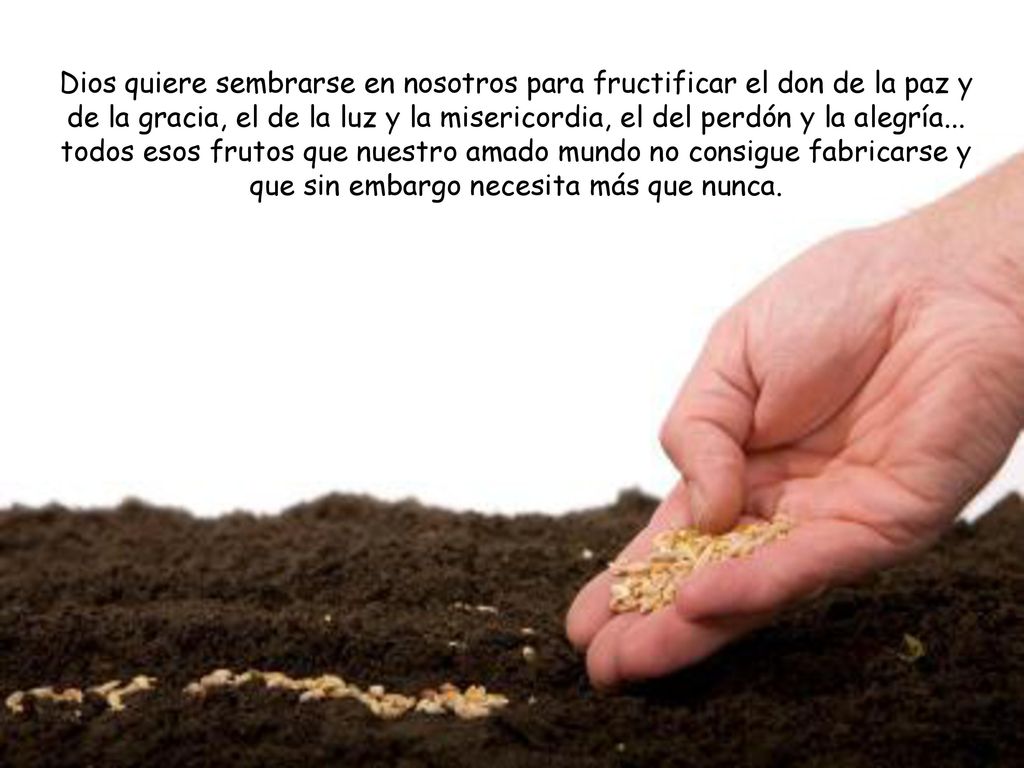 Dios quiere sembrarse en nosotros para fructificar el don de la paz y de la gracia, el de la luz y la misericordia, el del perdón y la alegría...