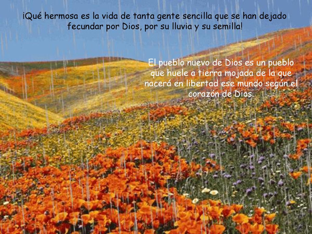 ¡Qué hermosa es la vida de tanta gente sencilla que se han dejado fecundar por Dios, por su lluvia y su semilla!