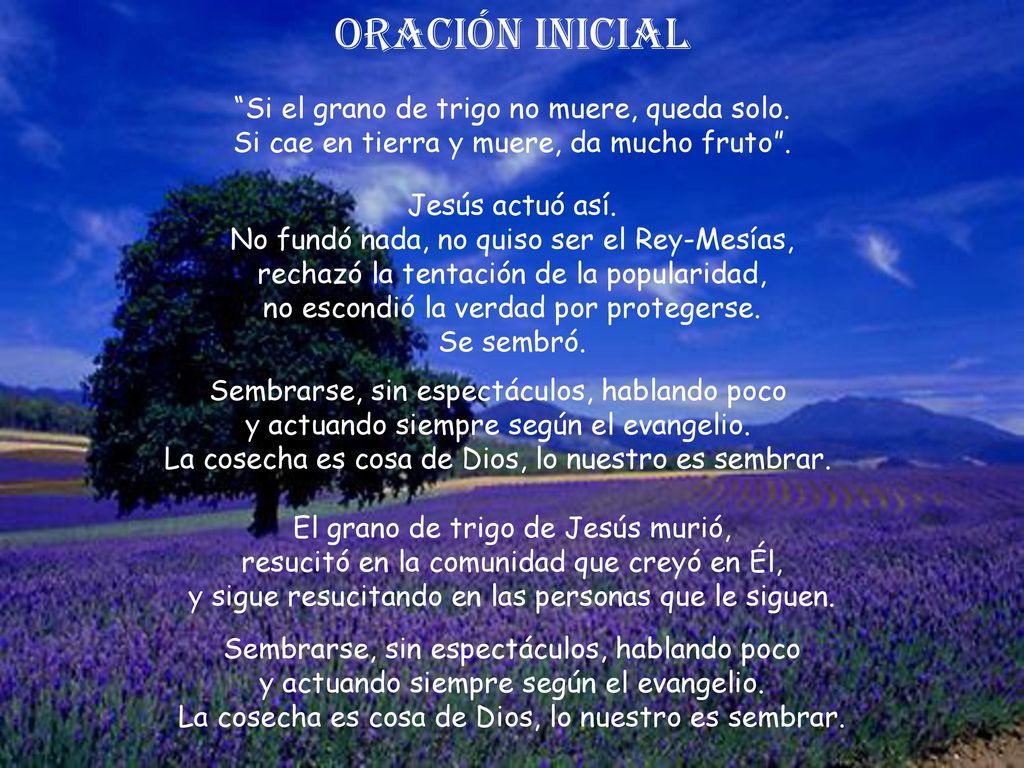 Oración inicial Si el grano de trigo no muere, queda solo. Si cae en tierra y muere, da mucho fruto .