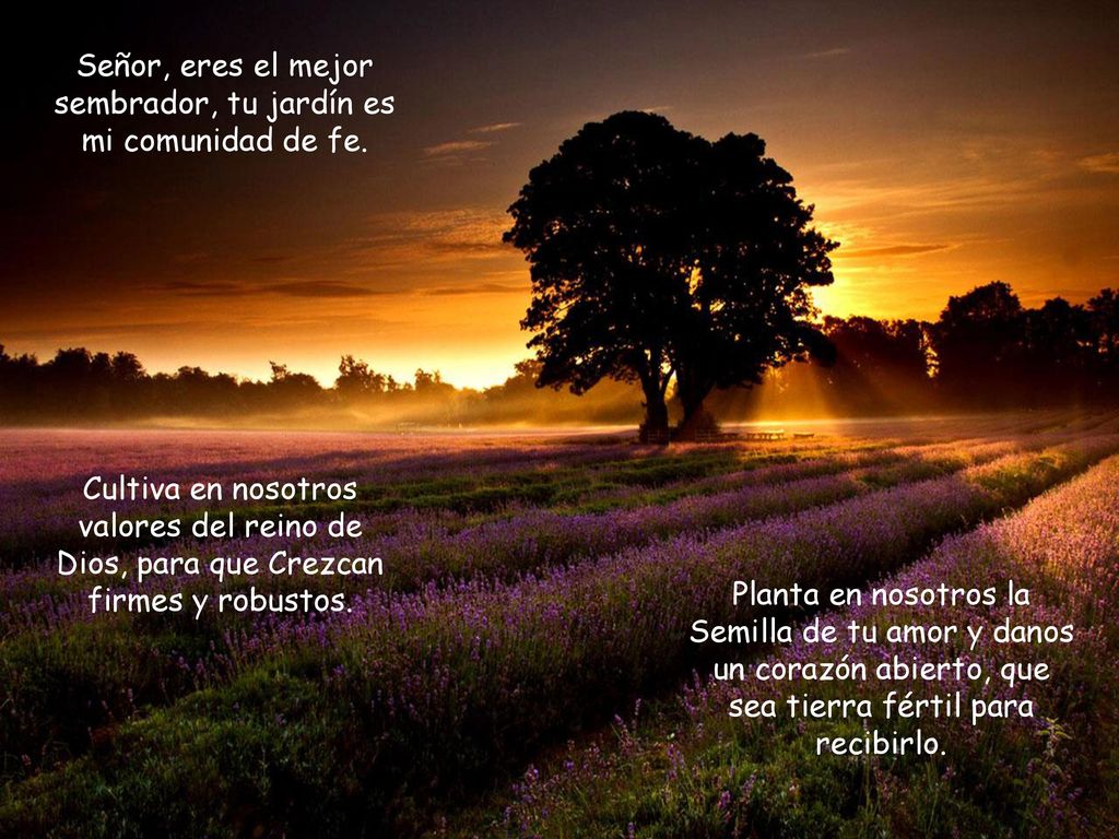 Señor, eres el mejor sembrador, tu jardín es mi comunidad de fe.