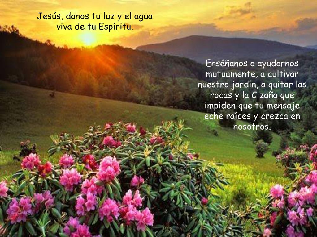 Jesús, danos tu luz y el agua viva de tu Espíritu.